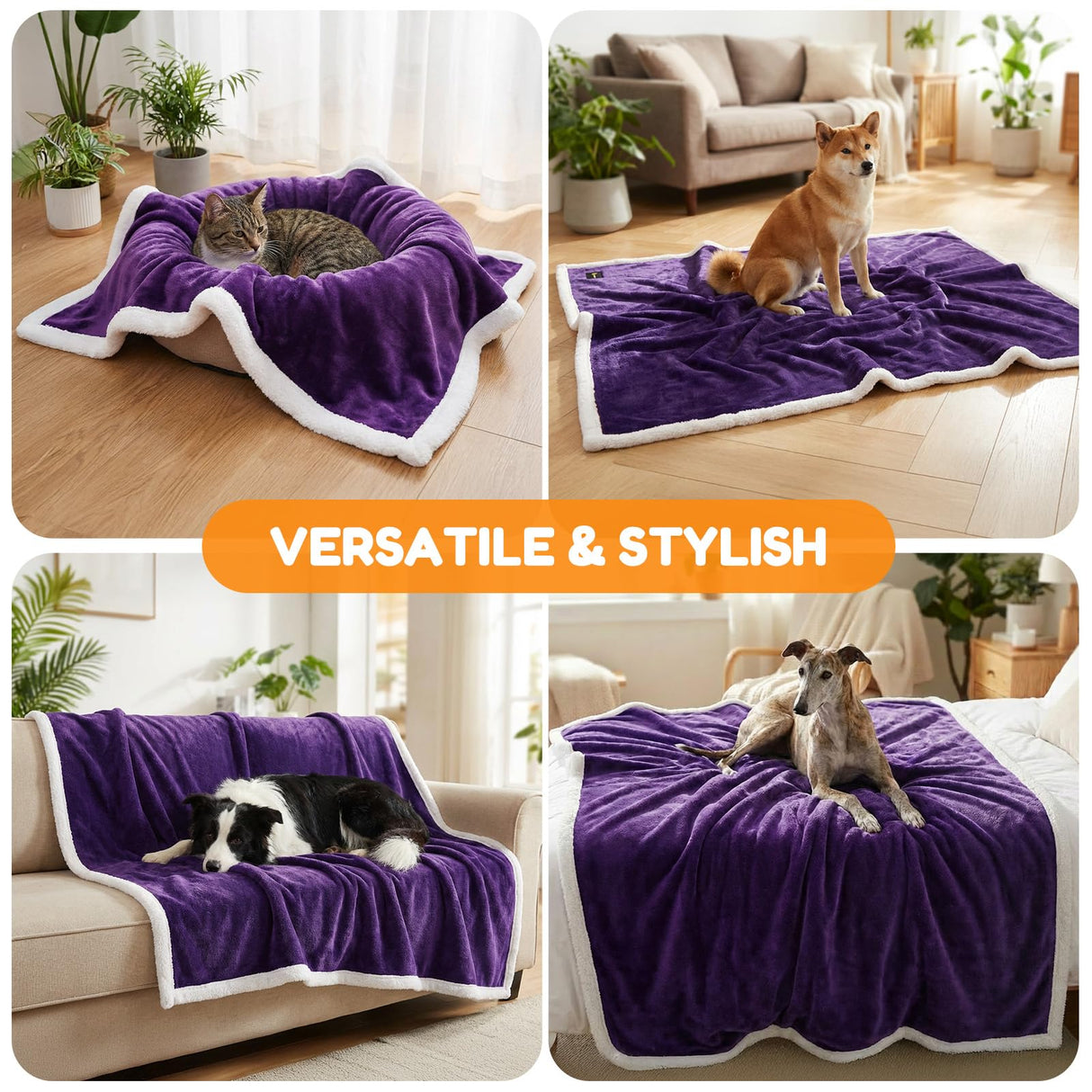 BoxZone Waterproof Dog Blanket for Couch – Double Sided Washable Cat Puppy Blanket, Durable Furniture Protector for Dogs and Cats, Purple White L(60×50)"