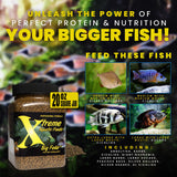 Xtreme Big Fella 3.0mm Pellets: Professional Nutrition for Medium to Large Cichlid/Community Fish - Boost Immune & Digestive Health, Color & Energy, Max Protein Fish Food – USA Farm Grown (20oz)
