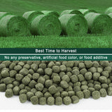 Ohcool Timothy Hay Cubes 10 oz with Small Size - Timothy Grass Pellets for Tortoises Rabbits Guinea Pig Chinchilla