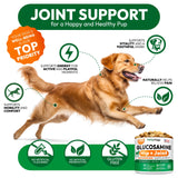Petsology Glucosamine for Dogs - Hip and Joint Supplement for Dogs - 170 Mobility Chews - Glucosamine Chondroitin - MSM - Turmeric - Joint Pain Relief - Advanced Support for Dog Health - Made in USA