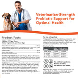 Critical Digestive Restore Soft Chews for Dogs - Veterinarian-Strength Probiotic Support for Optimal Health – with 10 Billion CFUs Per Dose