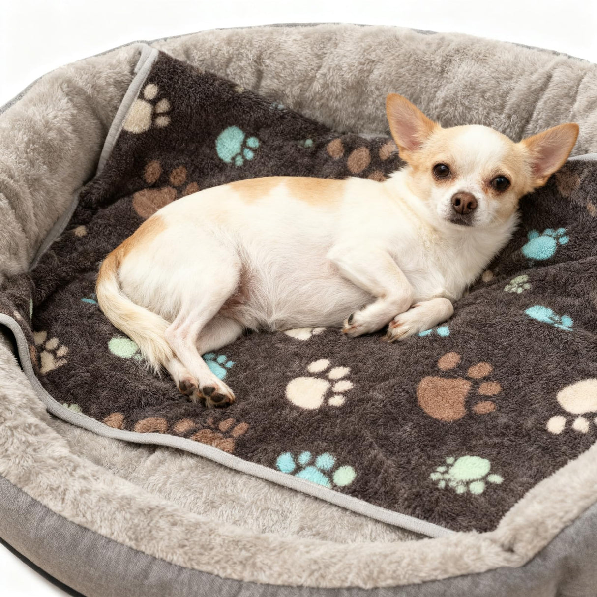 12 Pcs Small Dog Blanket Fleece Puppy Blankets Washable Pet Blankets for Cats Soft Flannel Paw Printed Throw for Guinea Pig Indoor Kittens Doggie (23 X 16 Inch,Dark Gray)
