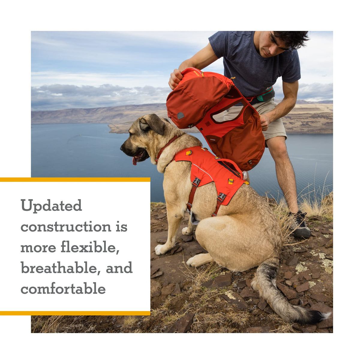 Ruffwear, Palisades Dog Backpack, Multi-Day Pack with Removable Saddlebags & 2x1L Hydration Bladders, Cross-Load Compression, Breathable Adjustable Harness, Reflective Trim, Red Sumac, Small