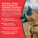 Animal Essentials Yucca - Hip and Joint Yucca Root Supplement for Dogs & Cats, Liquid Herbal Care Drops for Senior Dogs & Older Pets, Bowel & Immune Support, Antioxidant Boost - 1 fl oz