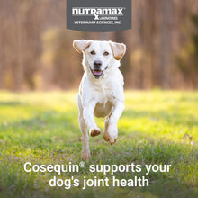 Load image into Gallery viewer, COSEQUIN Maximum Strength Joint Supplement Plus MSM &amp; Omega-3's - With Glucosamine and Chondroitin - For Dogs of All Sizes (Soft Chews)
