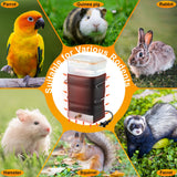 74 oz Heated Rabbit Water Bottle, Large Rabbit Water Dispenser No Drip, Bunny Bottle, Heated Small Animal Drinker for Pets, Rabbits, Guinea Pigs, Hamster, Ferrets, Birds, Mouse, Rats(1 Pack)