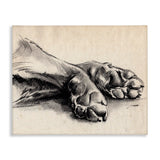 Stupell Industries Dog Paw Charcoal Design, Designed By Jennifer Paxton Parker, 20 x 16, Canvas Wall Art