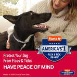 Hartz UltraGuard ProMax Flea & Tick Collar for Dogs I 12 Months Protection I Soft & Comfortable Flea & Tick Prevention I 2 Pack,Gray