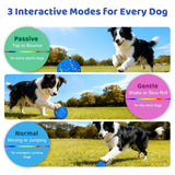 Sankell Interactive Dog Ball Toy - Smart Moving Bouncing Dog Ball with RGB Lights, E-TPU Material, 3 Play Modes Automatic Rolling Balls Toy for Small Medium Dogs Keep Them Busy(Blue)