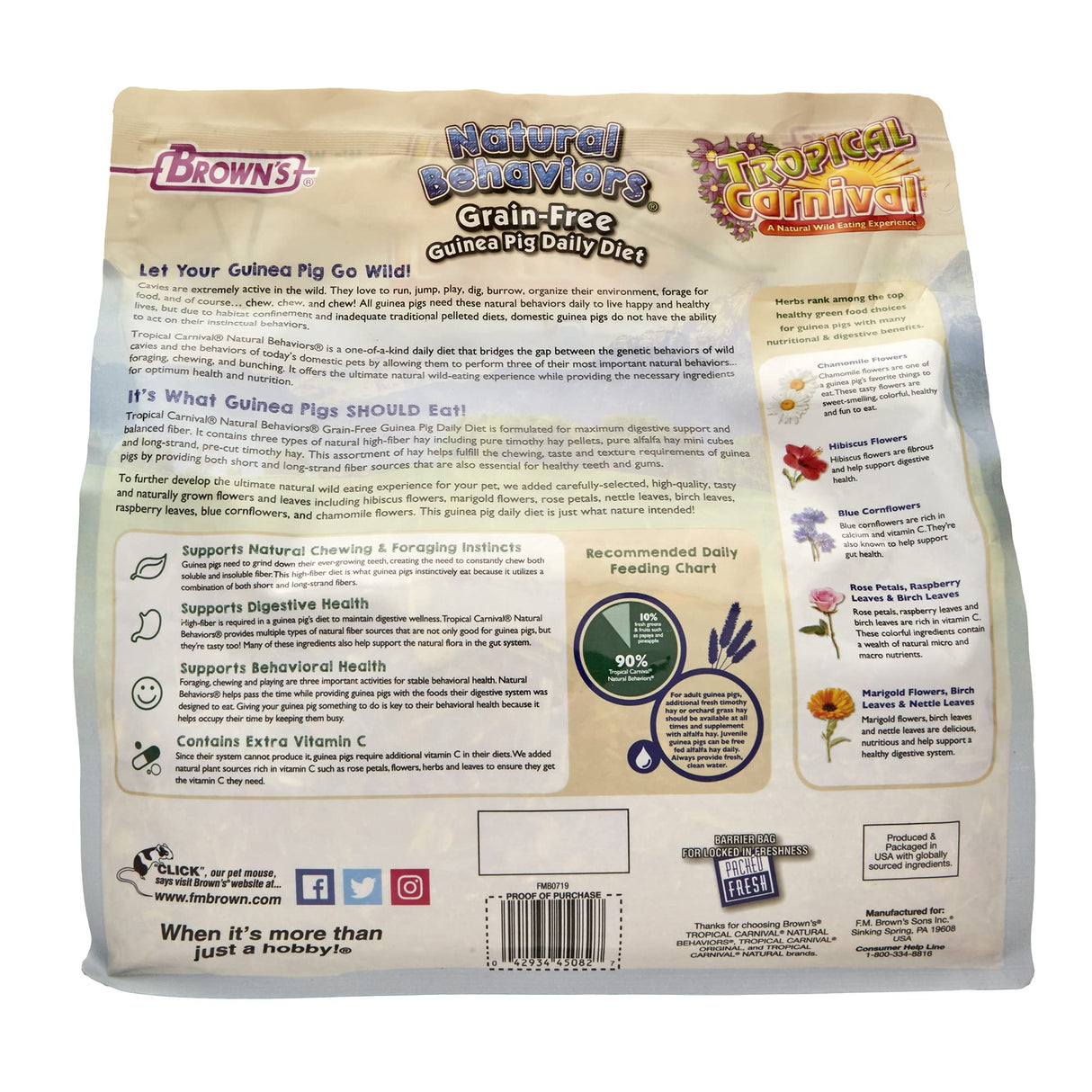 Tropical Carnival Natural Behaviors Grain-Free Guinea Pig Food – 4 Pounds, High-Fiber Timothy Hay Blend with Flowers & Leaves, Supports Natural Foraging, Chewing, and Digestive Health, Added Vitamin C