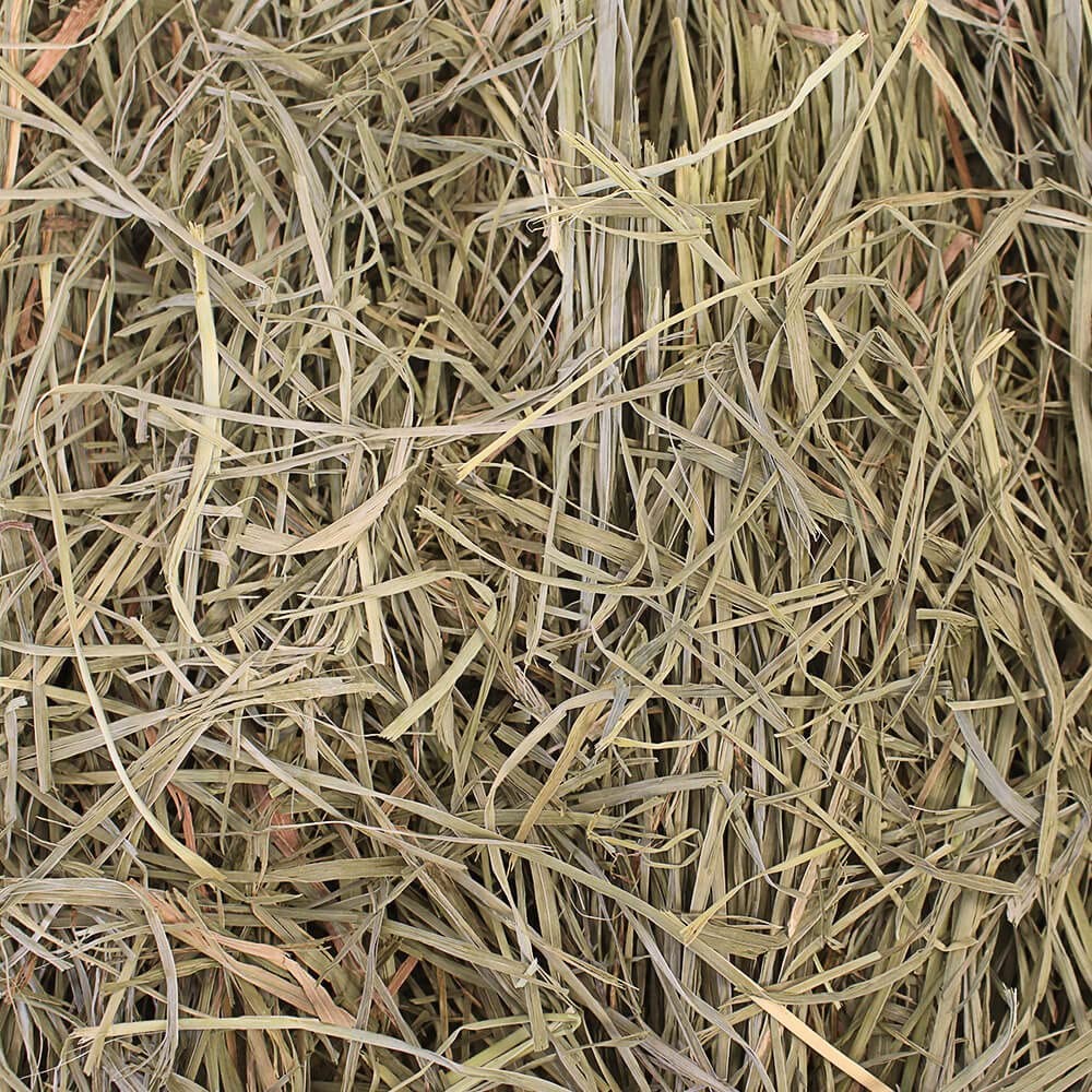 Grandpa's Best Premium Orchard Grass Hay for Rabbits, Guinea Pigs, Chinchillas, Hamsters & Gerbils, 20lb Loose Boxed, Brown