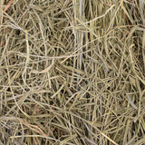 Grandpa's Best Premium Orchard Grass Hay for Rabbits, Guinea Pigs, Chinchillas, Hamsters & Gerbils, 20lb Loose Boxed, Brown