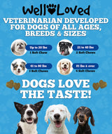 Well Loved Probiotics for Dogs, Dog Probiotics, Made in USA, Vet Developed for Gut Health, Yeast Balance, Itchy Skin, Diarrhea & Gas Relief, Chews with Prebiotic & Digestive Enzymes, Digestive Support