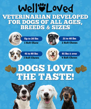 Load image into Gallery viewer, Well Loved Probiotics for Dogs, Dog Probiotics, Made in USA, Vet Developed for Gut Health, Yeast Balance, Itchy Skin, Diarrhea &amp; Gas Relief, Chews with Prebiotic &amp; Digestive Enzymes, Digestive Support
