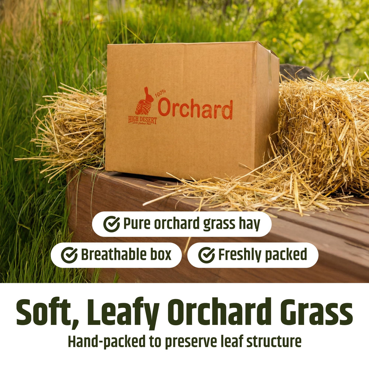 High Desert Orchard Grass Hay, Natural Orchard Hay for Rabbits Guinea Pigs Hamsters and Chinchillas, Soft Leaf Texture for Grazing and Foraging, Small Pet Supplies, Fresh Hand Packed Hay Box, 4 Lb