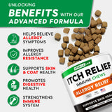 StrellaLab Dog Allergy Relief & Anti Itch Support Chews w/Omega 3, Pumpkin, Enzymes & Turmeric: Real Ingredients, Real Taste! Skin & Coat Immune Supplement w/Fish Oil - Made in USA - 180Ct - Chicken