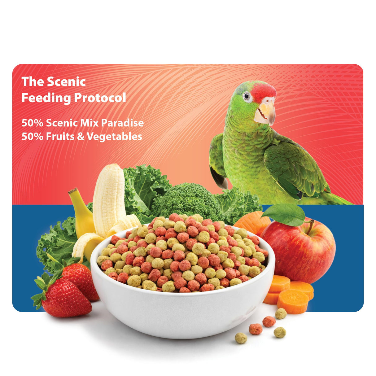 Scenic Mix Paradise Medium Parrot Food - 3.5 lb Bag - 1/4" Bird Pellets - Complete Nutrition for Sun Conures, Pionus, Senegals, Caiques & More