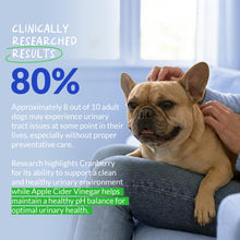 Load image into Gallery viewer, Cranberry for Dogs - Urinary Tract Support, Bladder Health, Dog UTI, Bladder Stones, Incontinence Support (Tablet)
