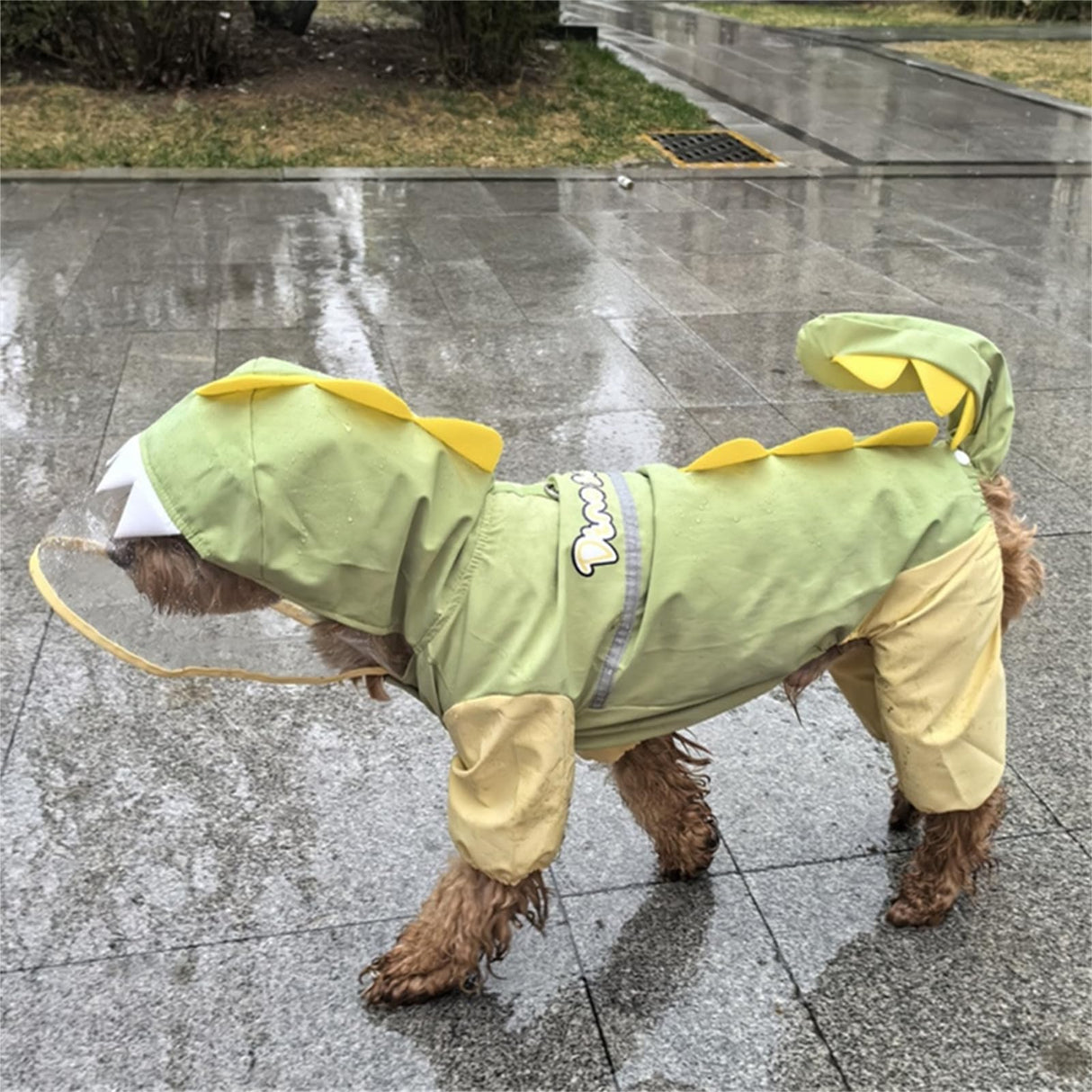 Waterproof Dog Raincoat, Dinosaur Design, Full Body Protection with Elastic Trousers, for Small Dogs (Green, Medium)