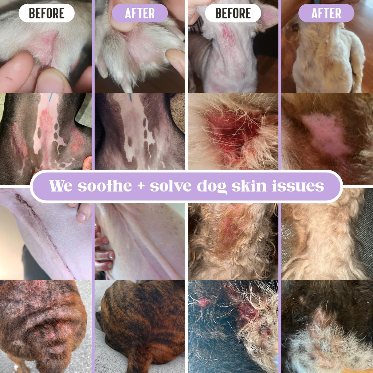 Lavengel for Dogs - Reduces Skin Irritations and Itching - Effective Wound Care and Hot Spot Treatment