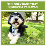 Pogi's Poop Bags – Large, Leak-Proof Dog Waste Bags for Yard or Home Use, Unscented (Single Roll, 500-Count)