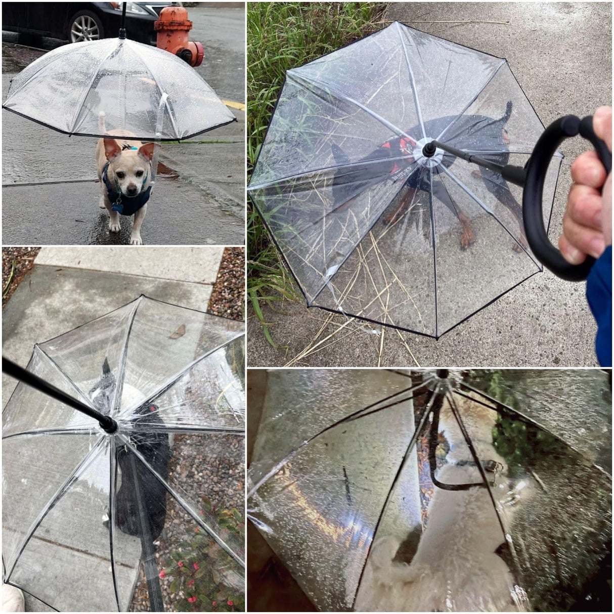 Namsan Pet Umbrella for Small Dogs, Clear Dog Walking Umbrella with Adjustable Leash, Self-Assembly Puppy Rain Snow Umbrella, Waterproof