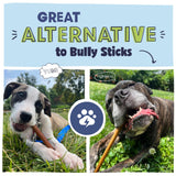 Pawstruck All Natural 11-12" Roasted Collagen Sticks for Dogs – Low Odor & Long-Lasting Bully Stick & Rawhide Alternative, Single Ingredient, Vet Approved – 5 Pack