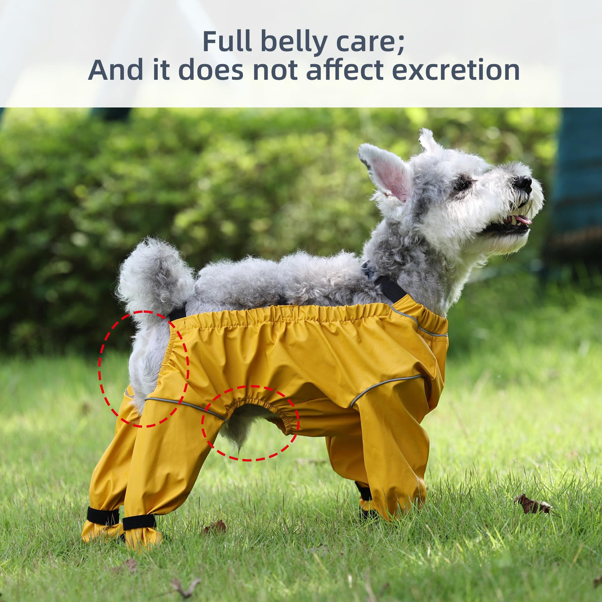 XUANNIAO Dog Suspender Booties, Dog Paw Boot Rain Shoes Leggings Anti-Slip, Pet Paws Protector (Mix-Color, Small)