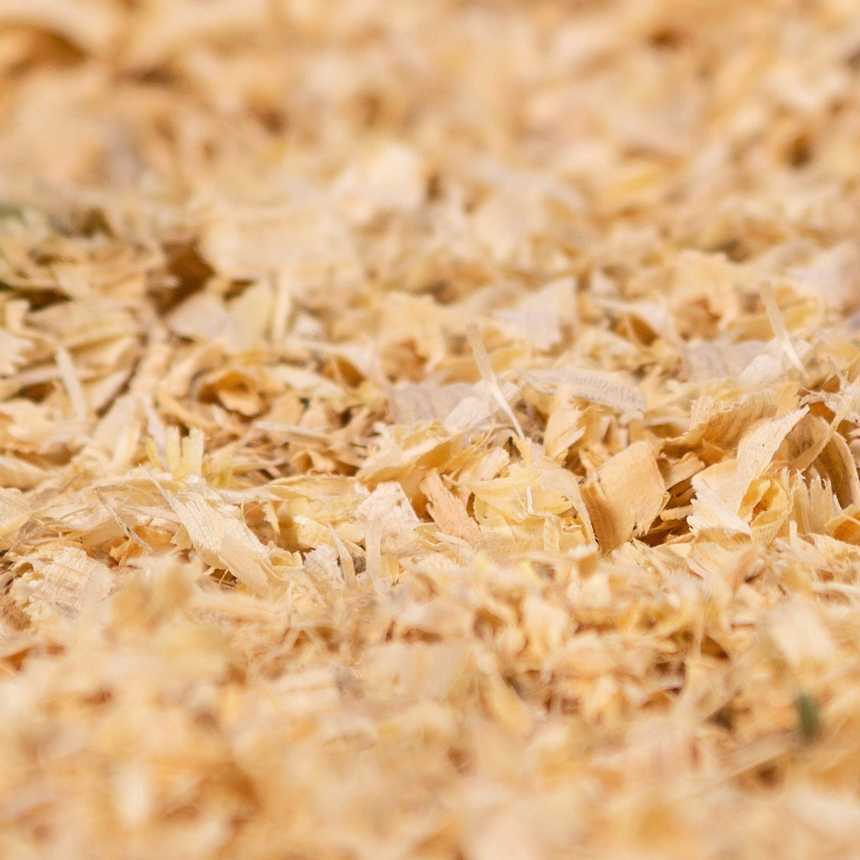 PETSPICK Pine Small Pet Bedding, 141L