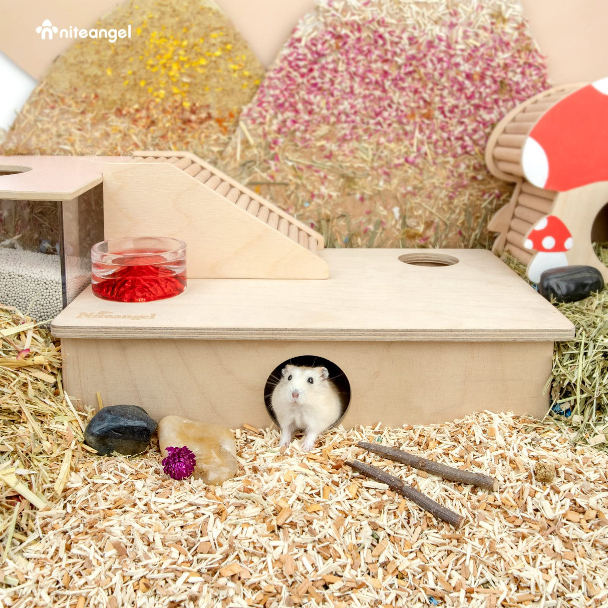 Niteangel Multi-Chamber Hamster House Maze: - Multi-Room Hideouts & Tunnel Exploring Toys for Hamster Gerbils Mice Lemmings (6-Room Small)