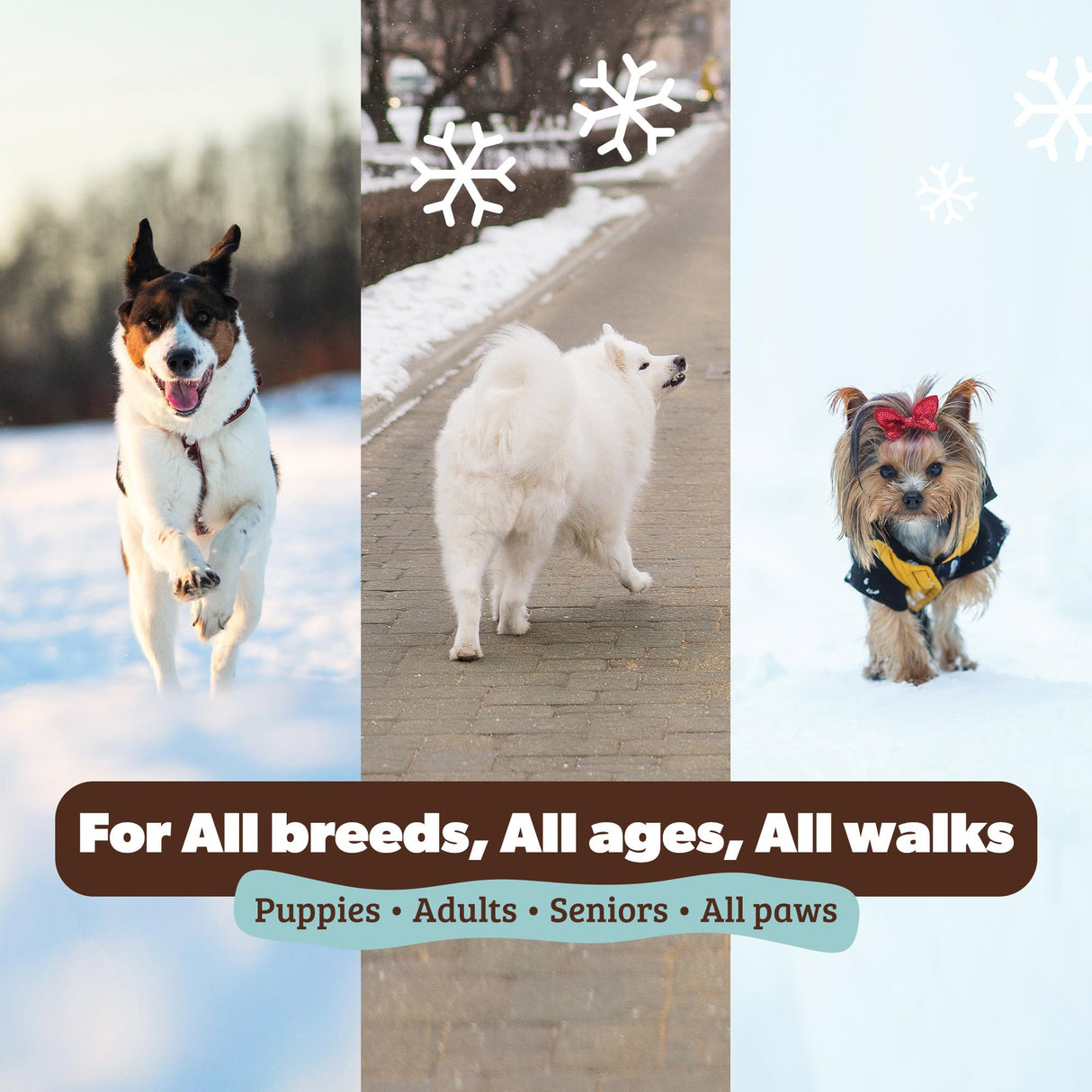 Natural Dog Company PawTection Balm for Dogs – Winter Paw Protection from Snow, Ice & Salt, Wax-Based Paw Barrier Balm, All Breeds for Cold Weather Walks & Outdoor Adventures, Lick-Safe, 2 oz Stick
