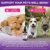 Melatonin for Pets, Melatonin for Dogs, Sleep Aid for Dogs, Melatonins for Cats, Support Aanxiety & Stress Relief, Promotes Relaxation and Deep Sleep, 2Oz Chicken Flavor