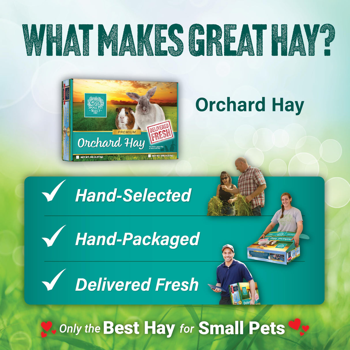 Small Pet Select Orchard Hay, Grass for Rabbit, Guinea Pig, Bunny, Chinchilla and Other Small Animals, Premium Natural Hay Grown in The US, Pet Food, 40 lb