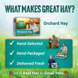 Small Pet Select Orchard Hay, Grass for Rabbit, Guinea Pig, Bunny, Chinchilla and Other Small Animals, Premium Natural Hay Grown in The US, Pet Food, 40 lb