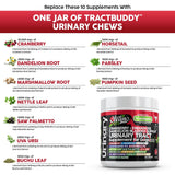 Clean Pets Cranberry for Dogs Urinary Tract Support | D-Mannose UTI Bladder Stones Dandelion Glucosamine HCL Marshmallow Nettle Leaf Saw Palmetto Uva Ursi Buchu Horsetail Methionine Parsley Supplement
