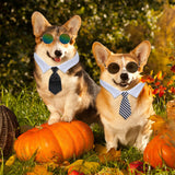 Weewooday 8 Pcs Pet Dog Cat Costume Cat Tie Collar Glasses for Small Dogs Round Metal Classic Retro Sunglasses Tie Pet Costume Tuxedo Necktie Collar Puppy Accessories Halloween Cosplay Party