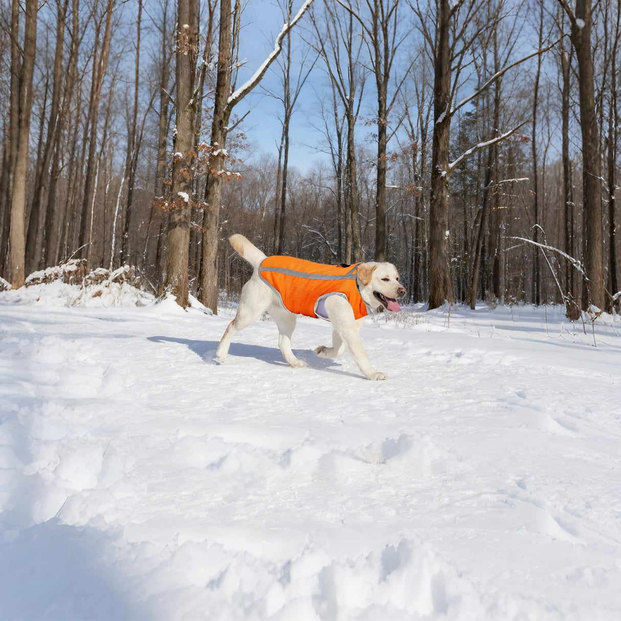 Dog Winter Coat with Fleece Lining for Medium Dogs– Warm Waterproof Windproof Snow Vest for Cold Weather, Reflective Blaze Orange Safety Dog Jacket, Easy-On Adjustable Fit with D Ring, L