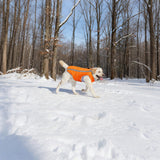 Dog Winter Coat with Fleece Lining for Medium Dogs– Warm Waterproof Windproof Snow Vest for Cold Weather, Reflective Blaze Orange Safety Dog Jacket, Easy-On Adjustable Fit with D Ring, L