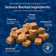 Load image into Gallery viewer, NaturVet Quiet Moments Calming Dog Supplement, Dog Soft Chews with Melatonin to Help Reduce Stress from Storms, the Vet, Fireworks, and Travel, Bacon and Chicken Flavored Pet Supplement, 240 Count Jar
