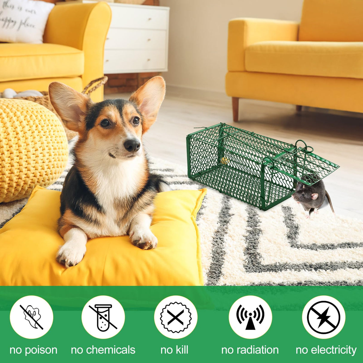 Kittmip 8 Pcs Humane Rat Trap Chipmunk Squirrel Cage Trap Foldable Rodent Trap for Small Live Animal Voles Hamsters Cage Catch and Release for Indoors Outdoors Kitchen Yard Garage (Green)