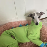 ESCCBOO Italian Greyhound Whippet Clothes, Cozy Fleece Dinosaur Costume, Basic Onesie Turtleneck Outfits Coat (Green, Small)
