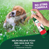 Vet's Best Allergy Itch Relief Spray for Dogs | Soothes Dog Dry Skin | Relieves The Urge to Itch, Lick, and Scratch | 8 Ounces