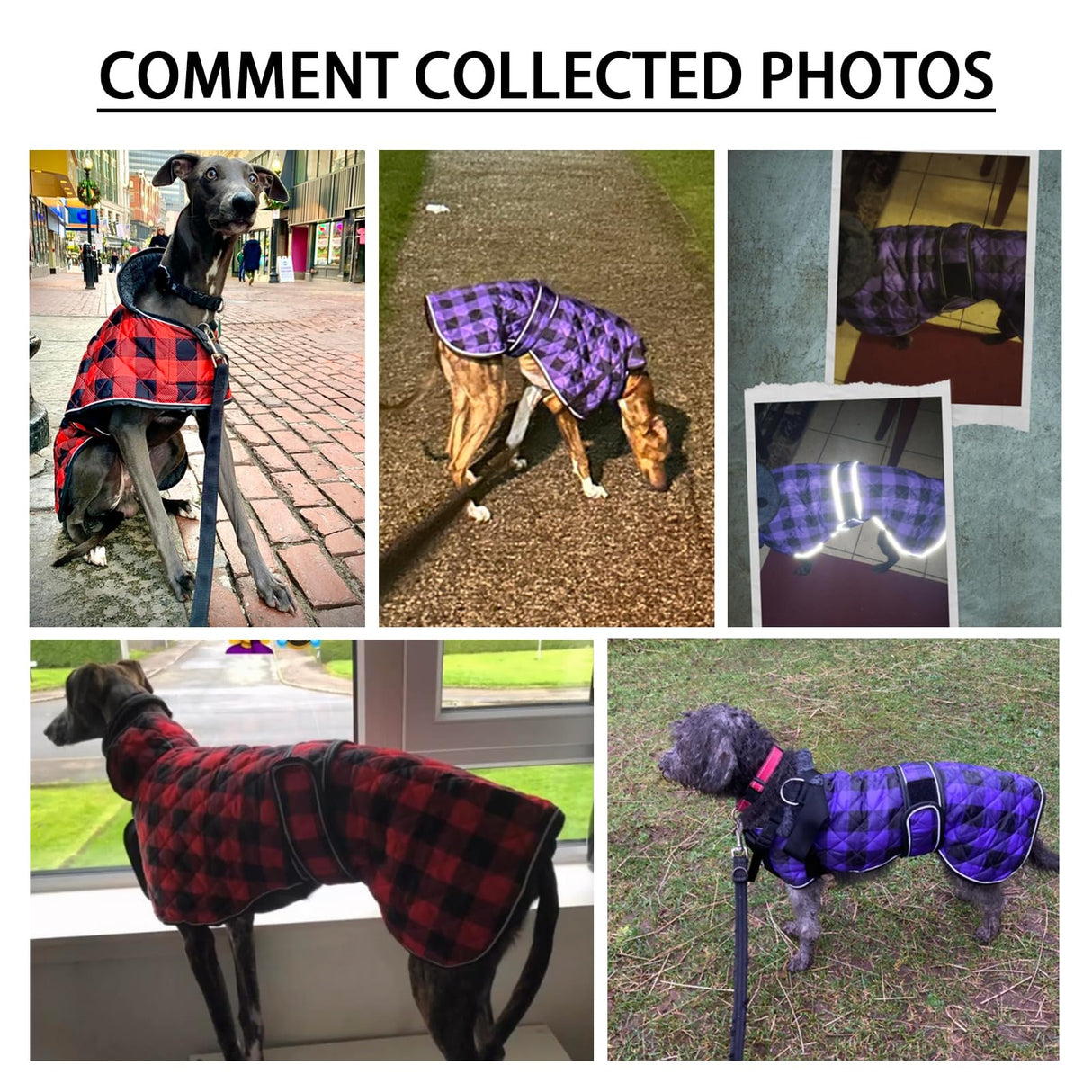 Geyecete Waterproof Greyhound Whippet Lurcher Dog Coat-with Warm Fleecy Lining Inside Outdoor Dog Apparel with Adjustable Bands for Medium, Large Dog-Black-3XL