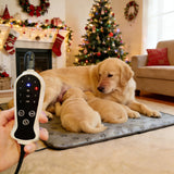 QUASILOVE Puppy Heating Pad for Whelping New Born Dog Heated Bed,Heated Puppies Bed,Pet Heated Cat Bed,4 Auto Shut Off Timer,9 Level Heater Large 34x21 in