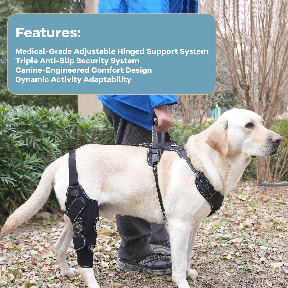 FurWell Dog Knee Brace with Adjustable Support – ACL & CCL Tear Recovery, Post-Surgery Stabilization, Mobility Aid for Rear Legs – Includes Secure Chest Harness for Dogs(Both Legs,L)