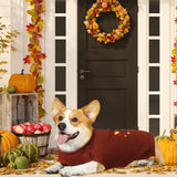 GOYOSWA 2 Pack Dog Thanksgiving Sweater, Knitted Thanksgiving Fall Holiday Dog Sweater Outfit Clothes for Small Medium Large Dogs Pets (Brown & Orange, Small)