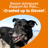 Zesty Paws Senior Dog Multivitamin Treats - Glucosamine for Dogs + Digestive Enzymes & Probiotics - Grain Free Dog Vitamins and Supplements for Skin & Coat + Immune Health Chicken - Advanced - 90ct