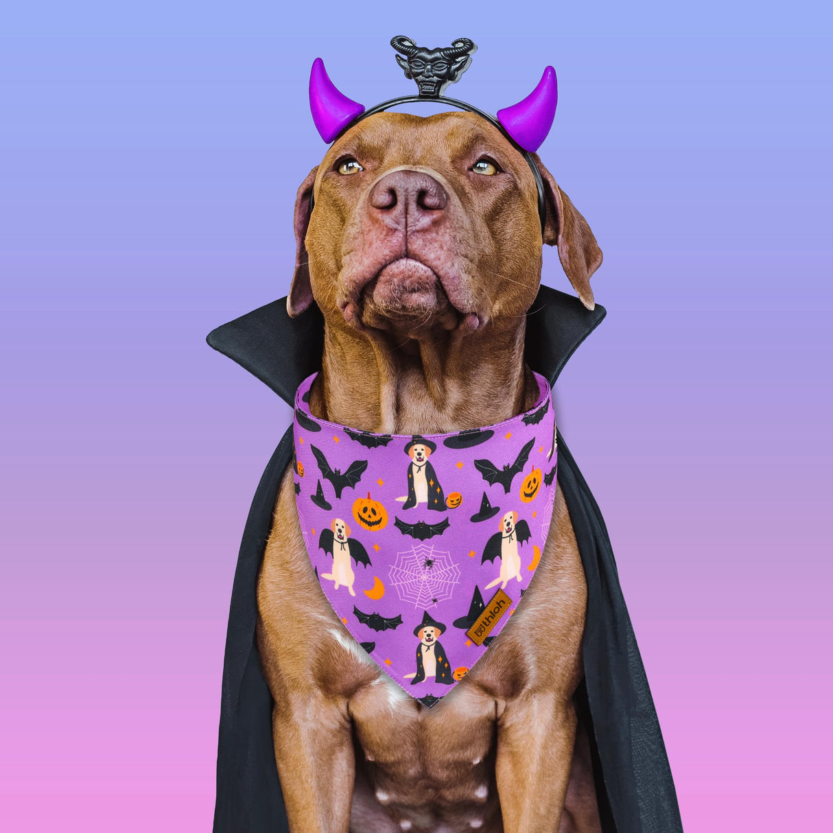 THLOH Halloween Dog Bandanas - 2 Pack Purple Dog Bandana with Snap Button | Reversible Pet Scarf for Boy & Girl | Premium Durable Fabric | Holiday Bandana for Large and Extra Large Dogs (X-Large)