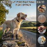 EXPAWLORER Dog Socks for Hot Pavement to Prevent Licking Paws, Anti Slip Doggie Grippy Booties Shoes for Hardwood Floors, Boots & Paw Protectors for Small Medium Large Senior Dogs Black XL