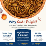 Grubs Delight 5LB Dried Black Soldier Fly Larvae for Chickens – 85x More Calcium Than Mealworms, for Chickens and Birds, 100% Natural Non-GMO Chicken Worms Treats, High Protein & Calcium Poultry Feed